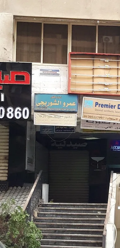 أستاذ دكتور عمرو الشوربجى