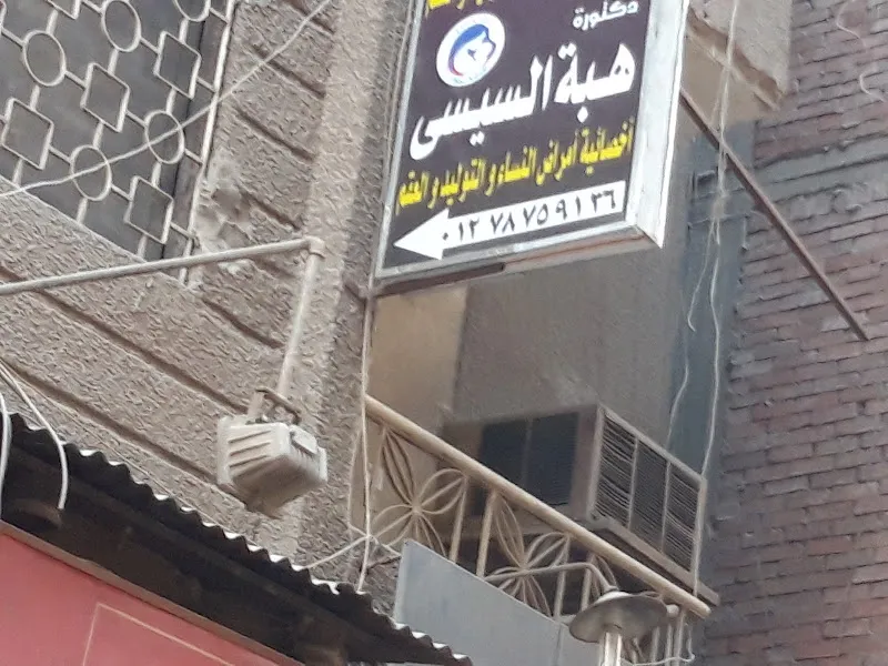 دكتورة هبة السيسى