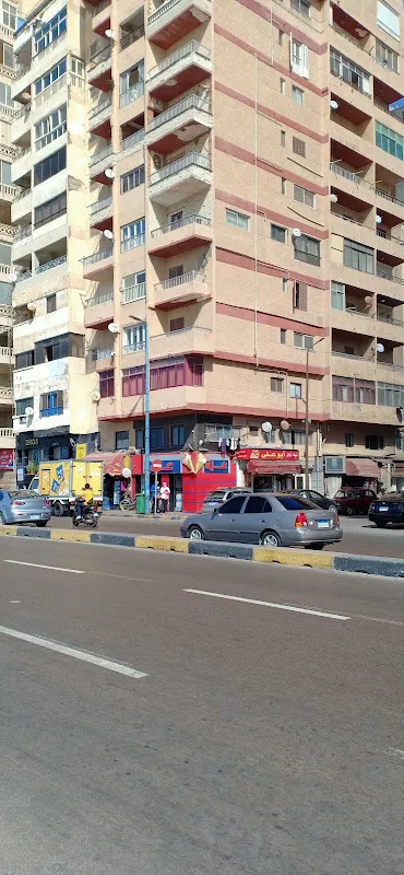 عزة حسنى
