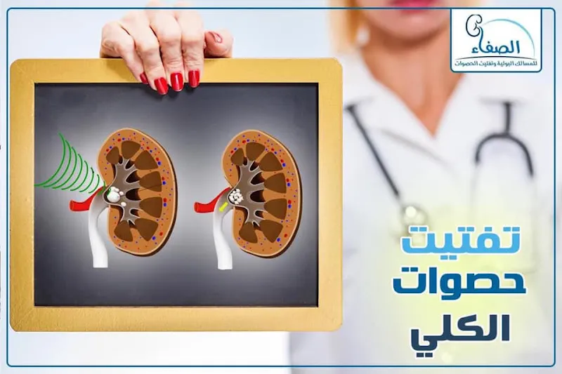 عبد الباسط ا لامام
