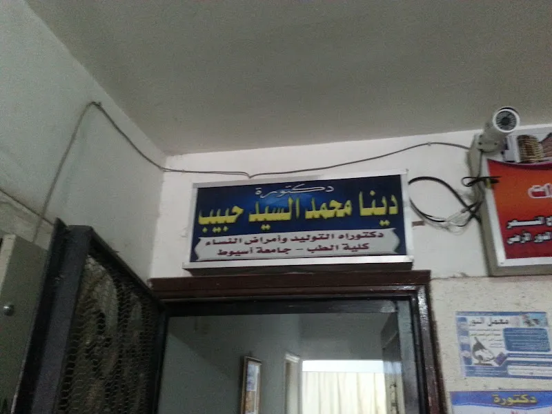 ا.د دينا محمد السيد حبيب