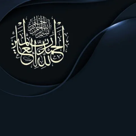 الاستاذ الدكتور / علاء اسماعيل