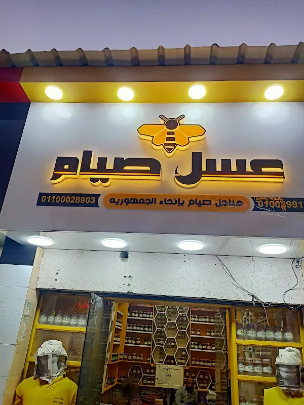د. احمد على موسى