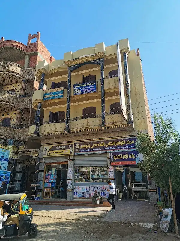 Zayed Village Hospital
