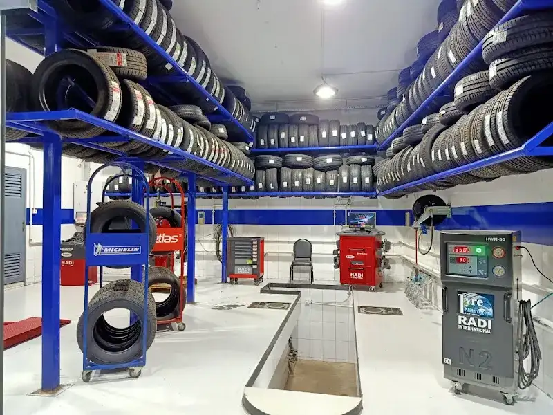 TAMCO Michelin Tyres &amp; Service - ميشلان لخدمات الاطارات تمكو المنصورة