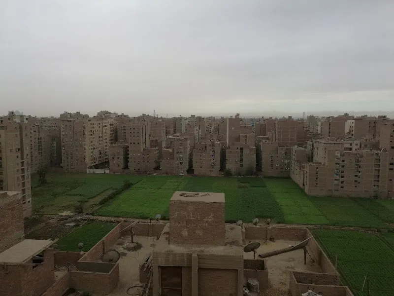 دراي كلين بكار