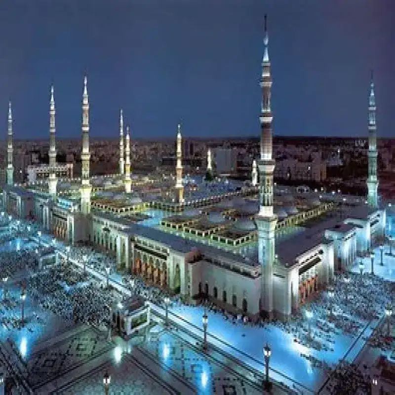 الملتزم للسياحة