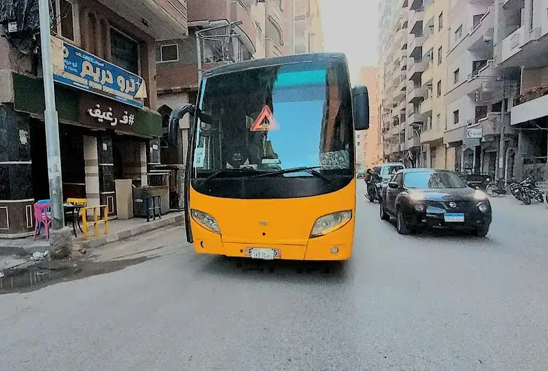 ترو دريم شبين الكوم