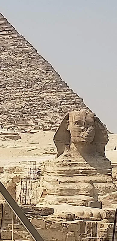 مجموعة جنوب سيناء للسياحة