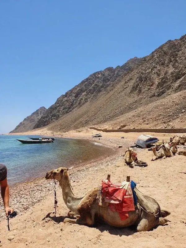 Oday tourism