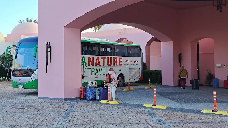Yalla Safari