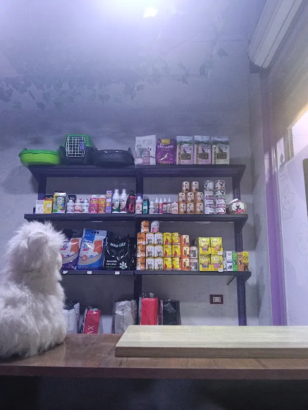 Pets go veterinary clinic