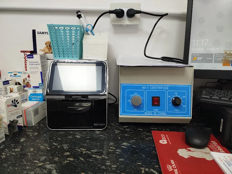Cats and Dogs Veterinary Hospital
