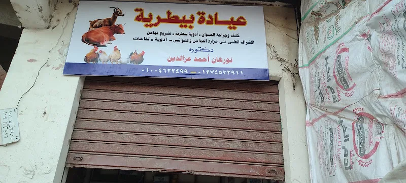عياده د/ احمد عبد العليم الجبالي