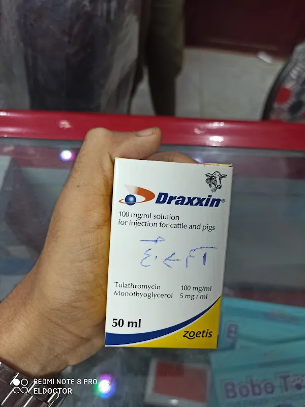 العيادة البيطرية .. دكتور ضياء طه