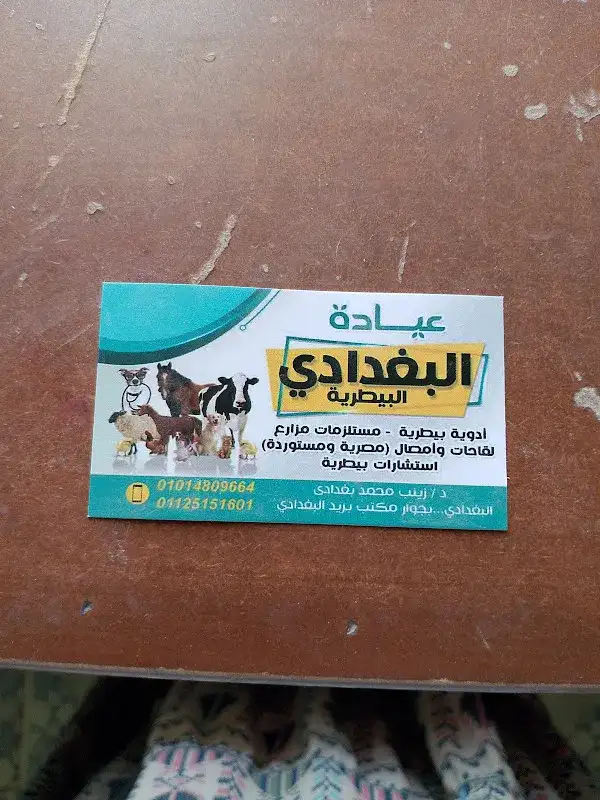 عيادة البغدادي البيطرية